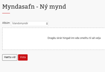 myndasafn-3138